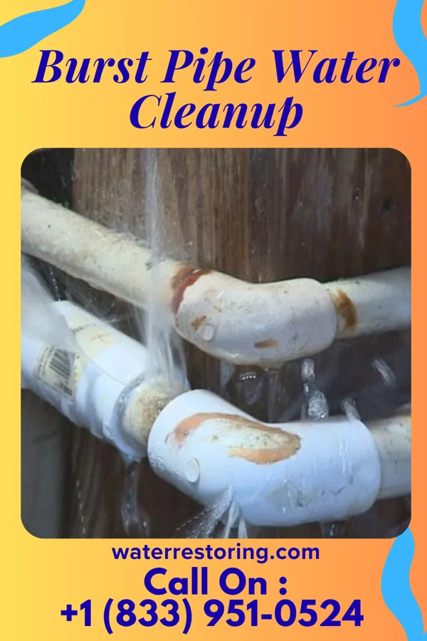 Burst Pipe Water Cleanup in Newburg, PA