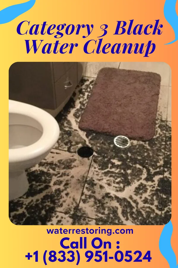 Category 3 Black Water Cleanup in Newburg, PA