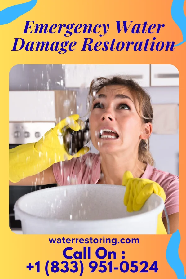 Emergency Water Damage Restoration in Newburg, PA