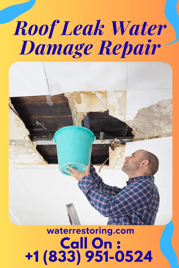 Roof Leak Water Damage Repair in Newburg, PA