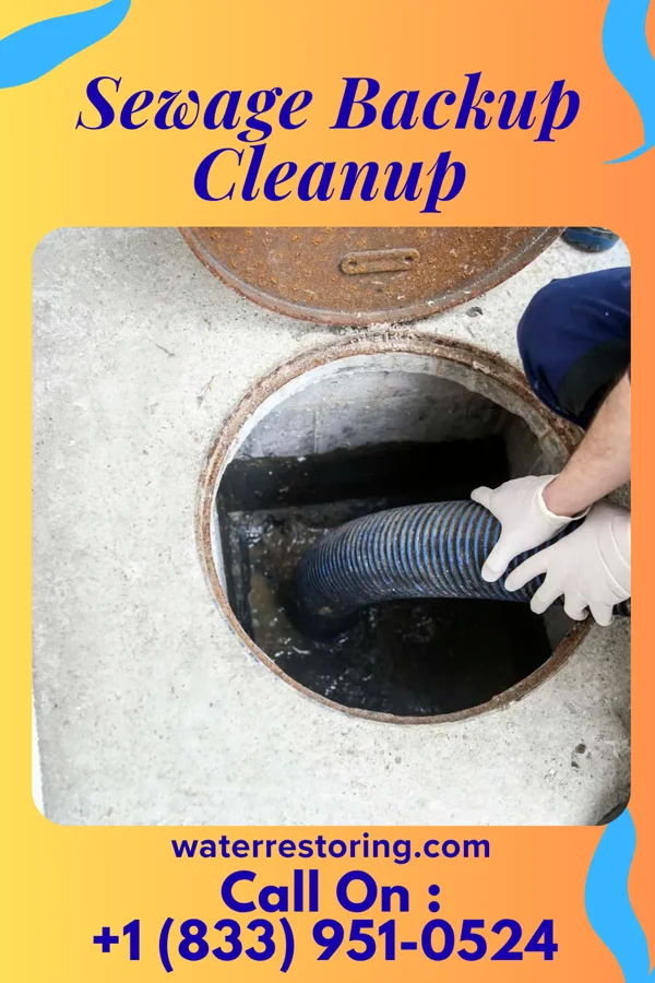 Sewage Backup Cleanup in Newburg, PA