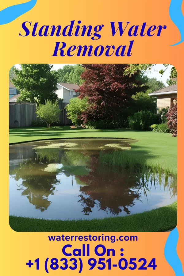 Standing Water Removal in Newburg, PA